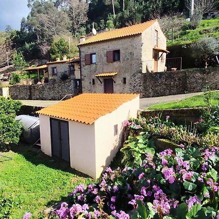 Quinta Da Costeira Villa Sever do Vouga Eksteriør billede