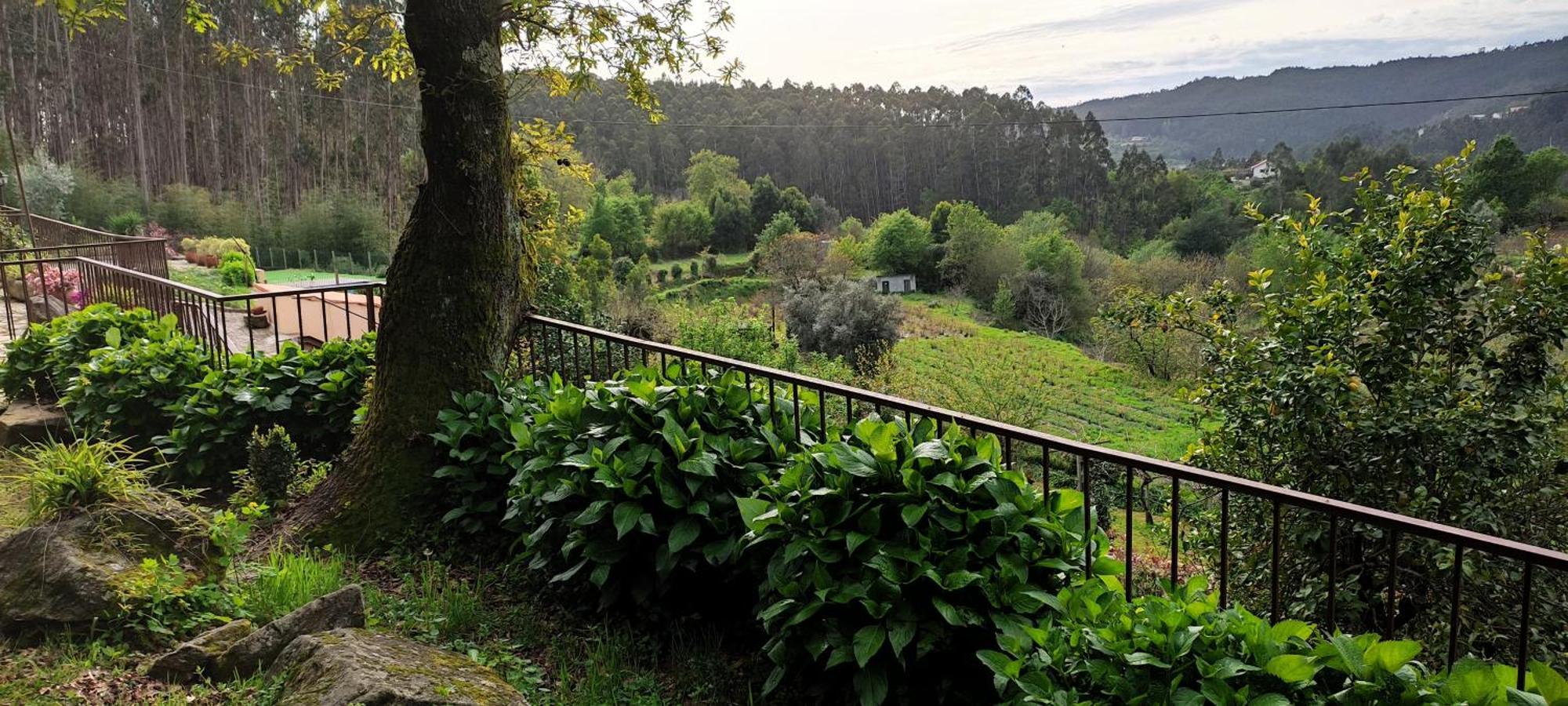 Quinta Da Costeira Villa Sever do Vouga Eksteriør billede